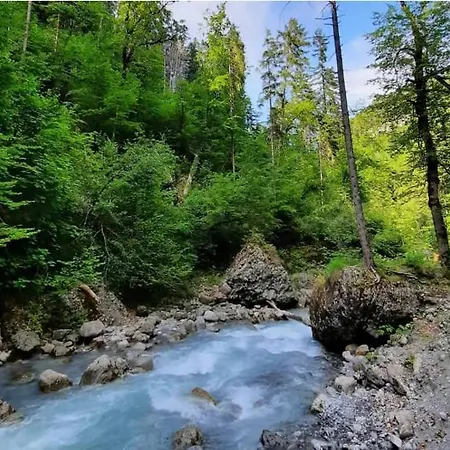 Sonnige Gemuetliche Daire